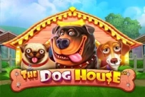 The Dog House